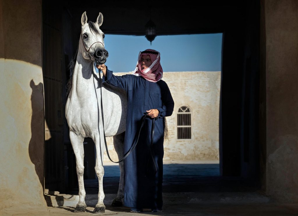 Horse riding Dubai