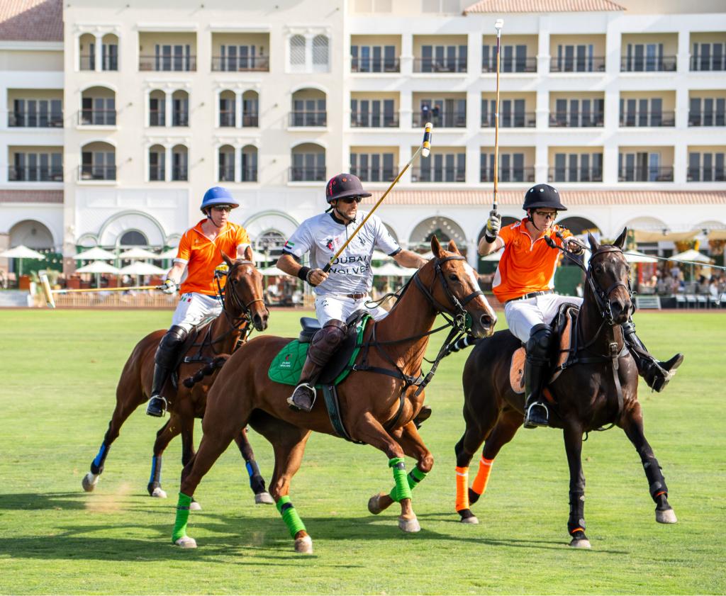 polo uae