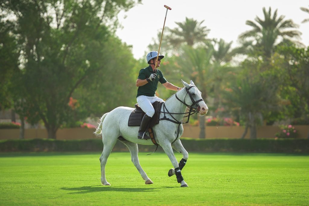 Desert Palm Dubai Polo